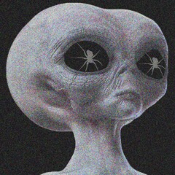 Meet your Posher, Heidi - Picture 1 of 1